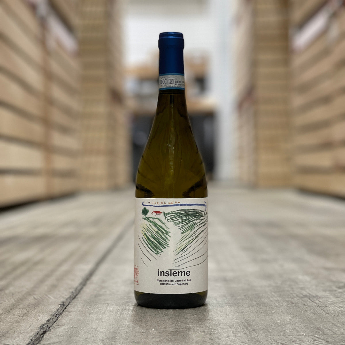 Terralibera Insieme Verdicchio dei Castelli di Jesi Classico, Marche, Italy 2023