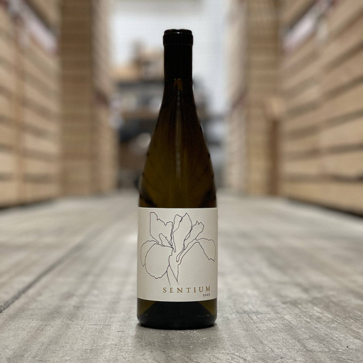 Sentium, Mendocino, USA 2023