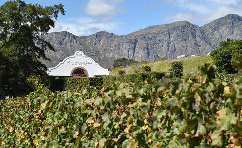 Explorer Series: South Africa