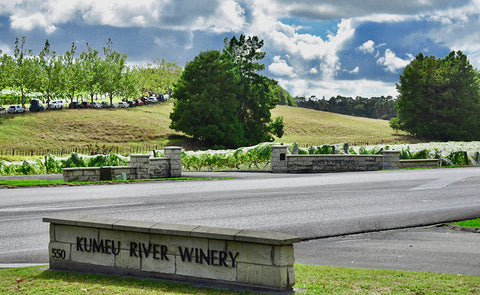 Explorer Series: Kumeū, New Zealand