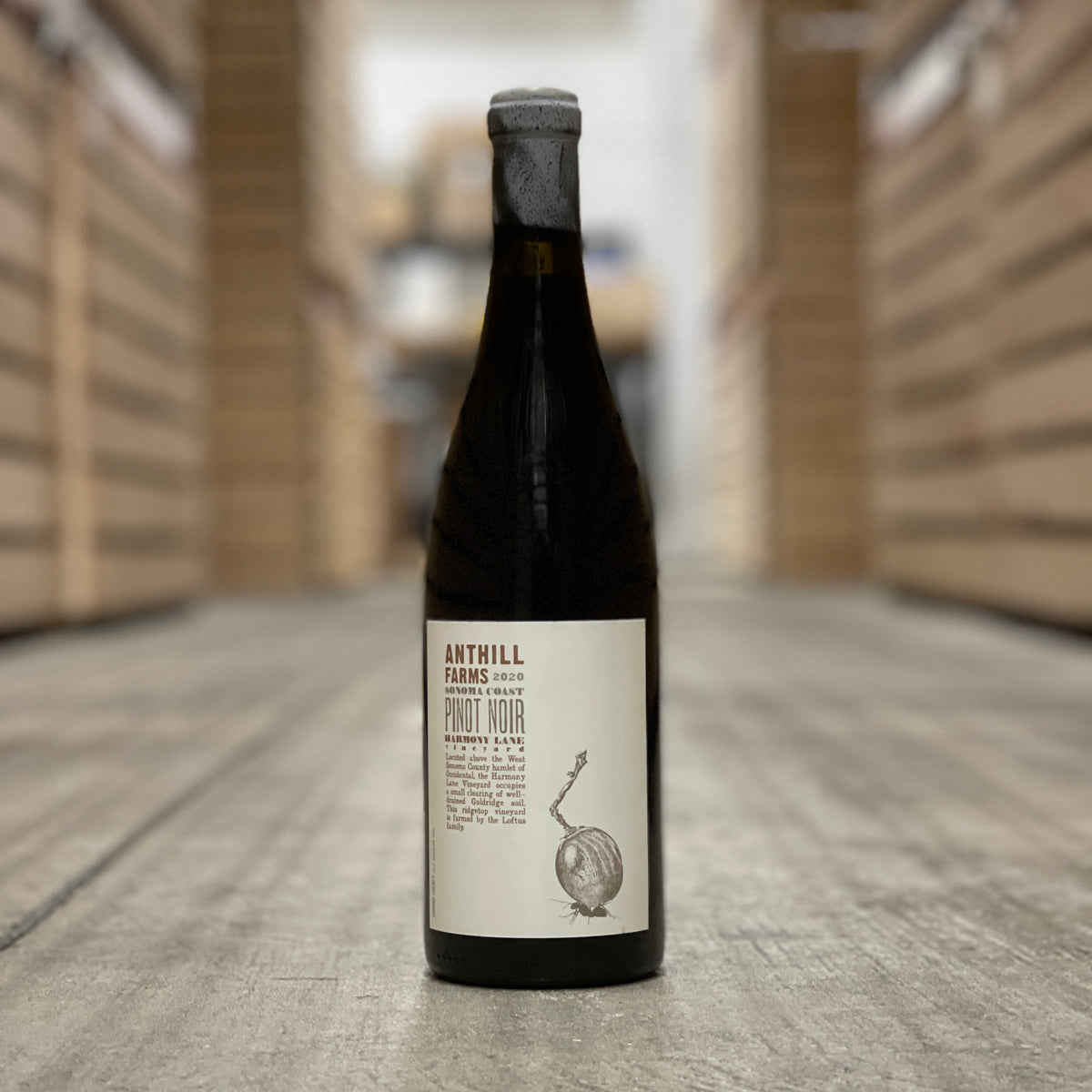Anthill Farms Harmony Lane Pinot Noir, Sonoma Coast, USA 2020